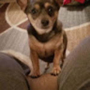 Meet your Posher, Gail